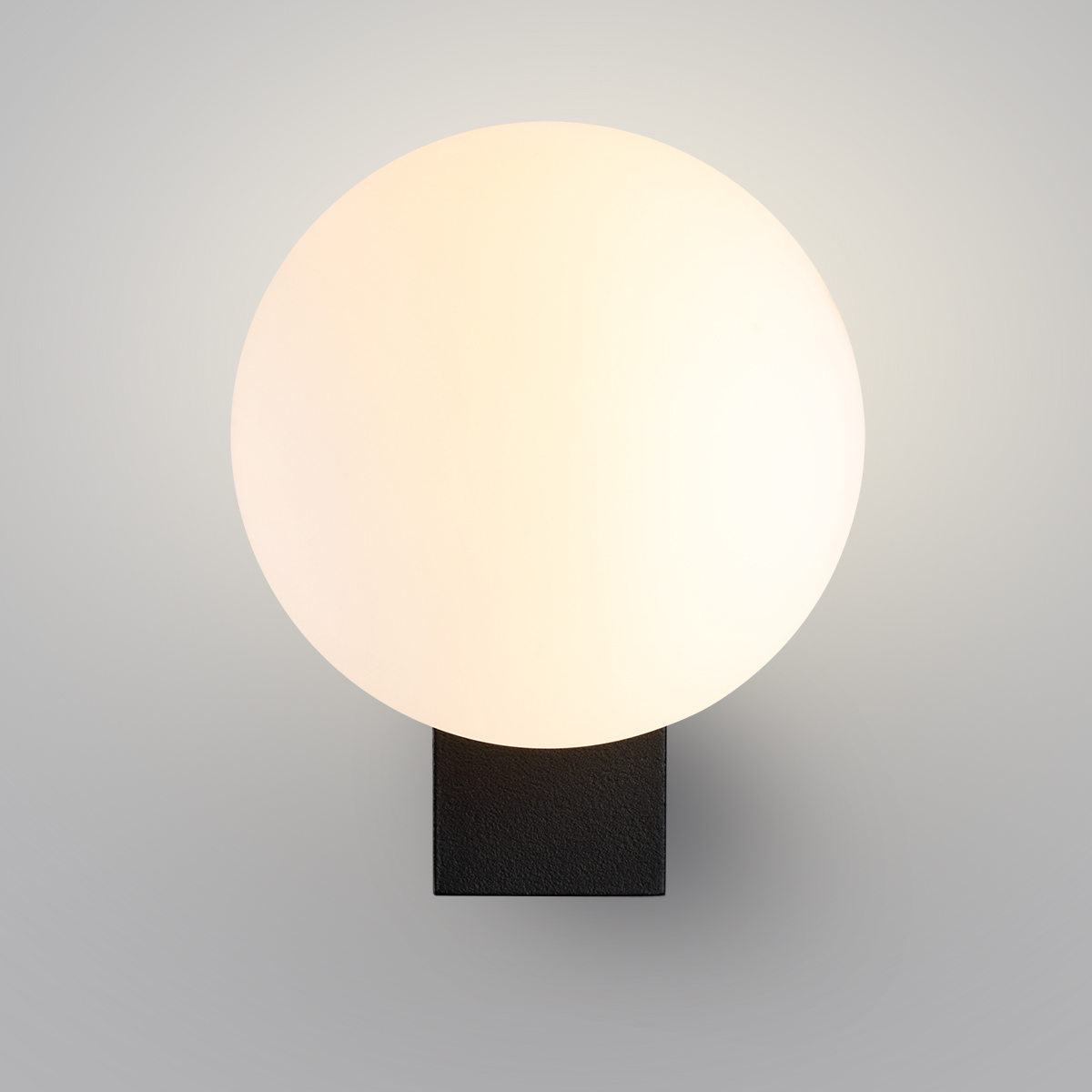 Настенный светильник ODEON LIGHT 7124/1W фото