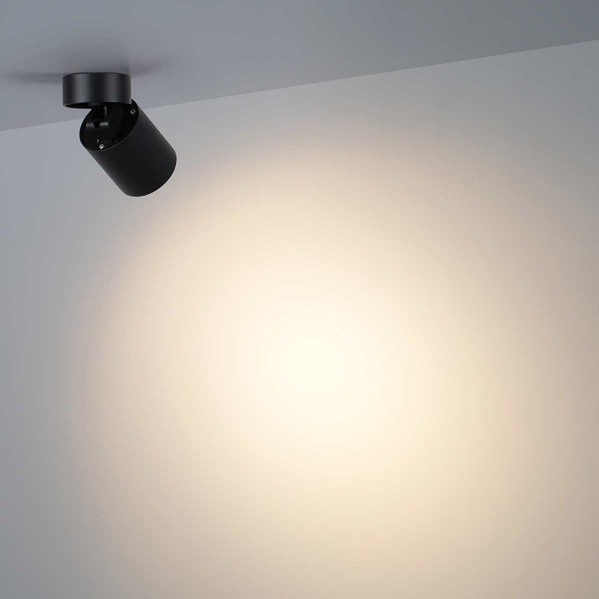 Потолочный светильник ODEON LIGHT 7132/7CL фото