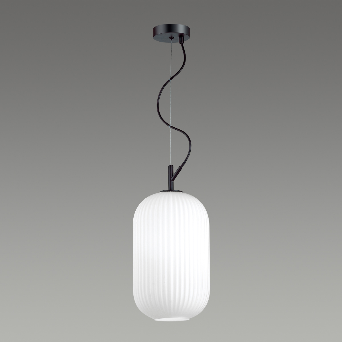 Подвесной светильник Odeon Light Pendant Roofi 4751/1 фото