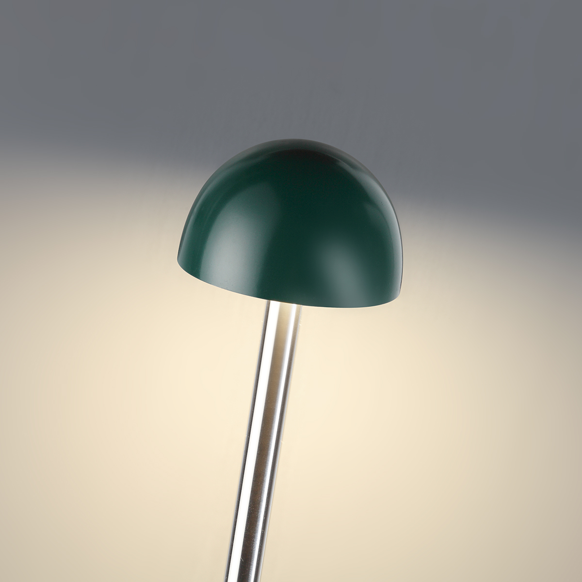 Ландшафтный светильник ODEON LIGHT 7122/4GLB фото