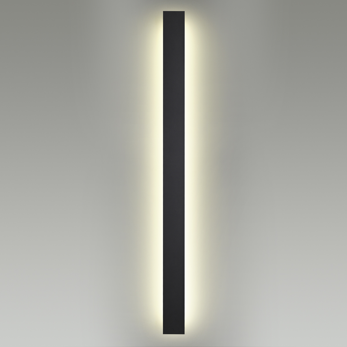 Настенный светильник ODEON LIGHT 4379/29WL фото