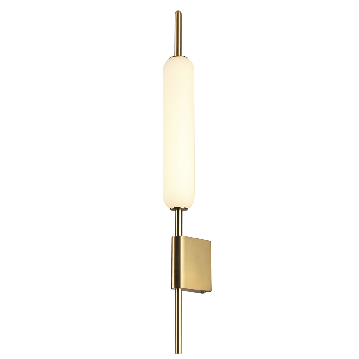 Настенный светильник Odeon Light Pendant Reeds 4794/12WL фото