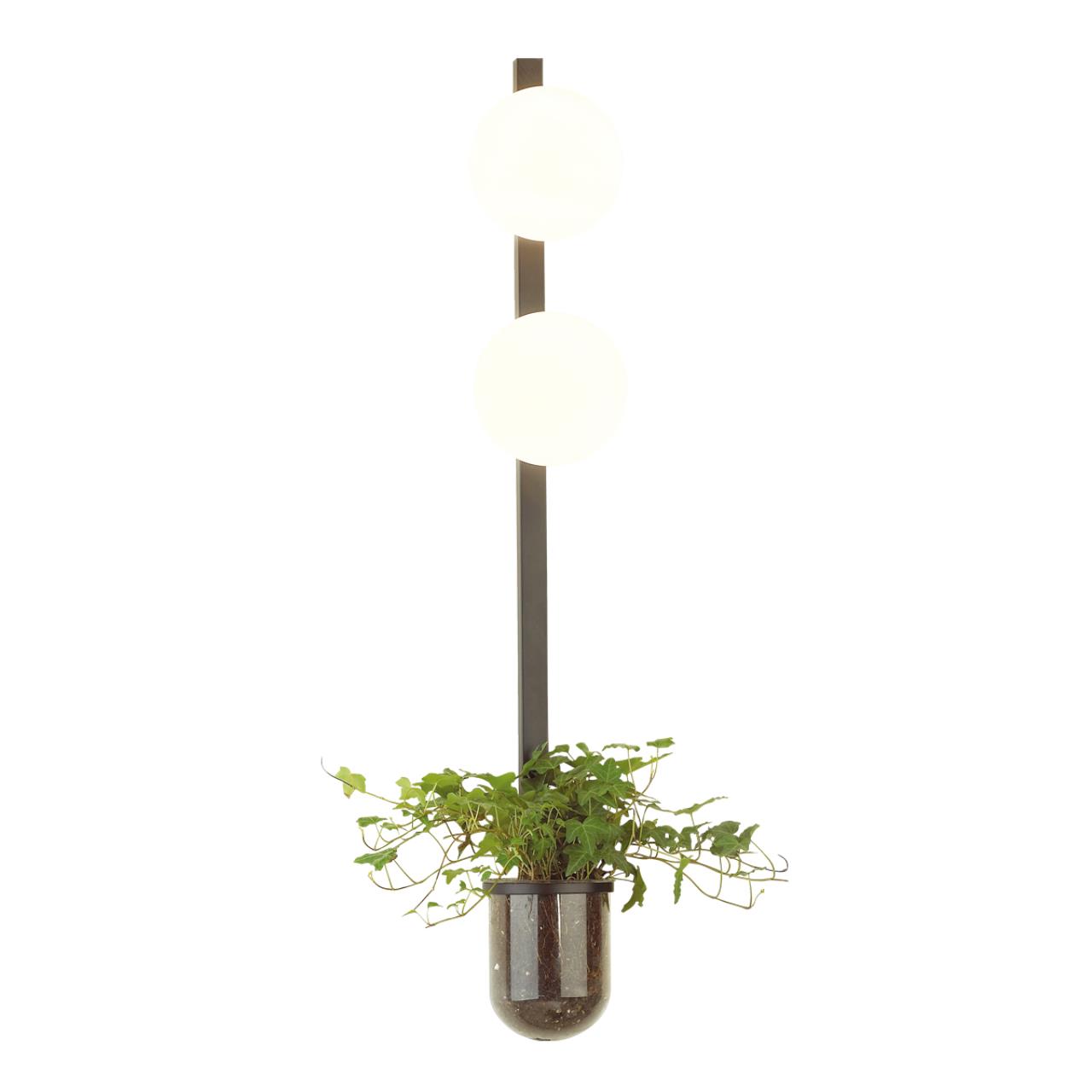 Настенный светильник Odeon Light Walli Flower 4681/2WA фото