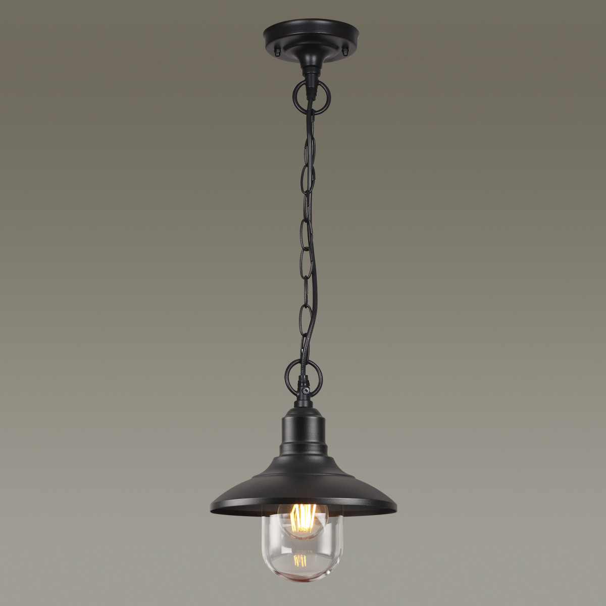 Уличный подвесной светильник Odeon Light Nature Campa 4965/1 фото