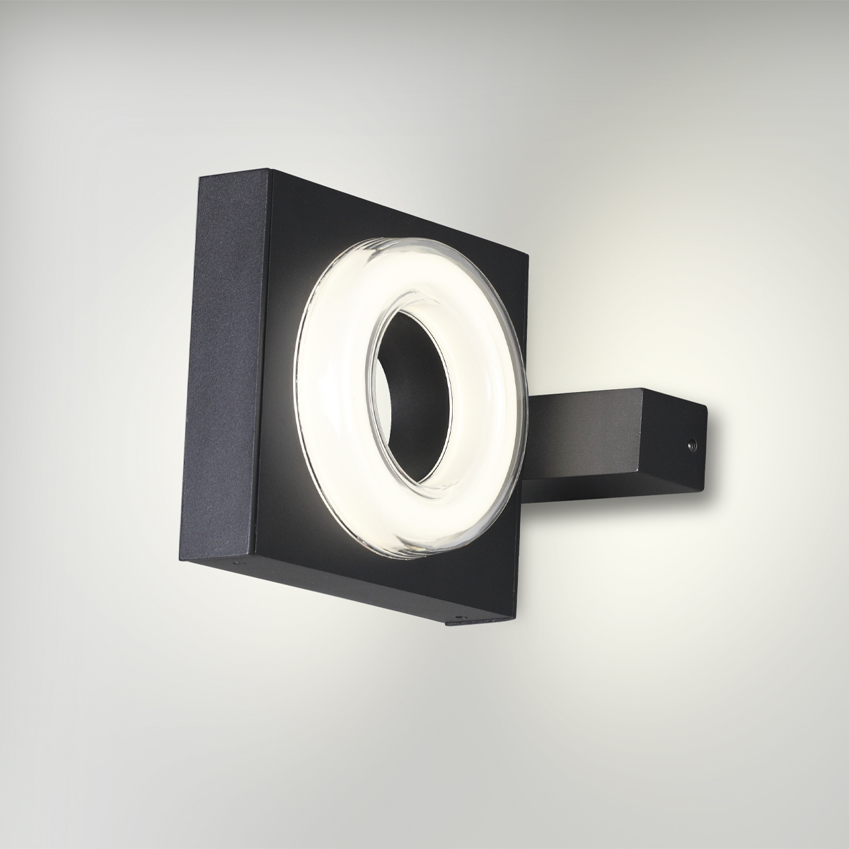 Уличный фасадный светильник ODEON LIGHT 6654/5WL фото