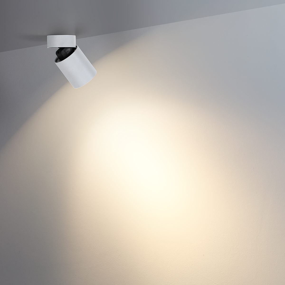 Потолочный светильник ODEON LIGHT 7133/7CL фото