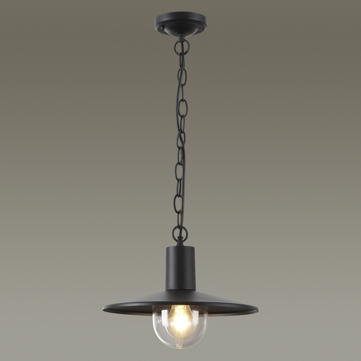Уличный подвесной светильник Odeon Light Nature Furcadia 4833/1 фото