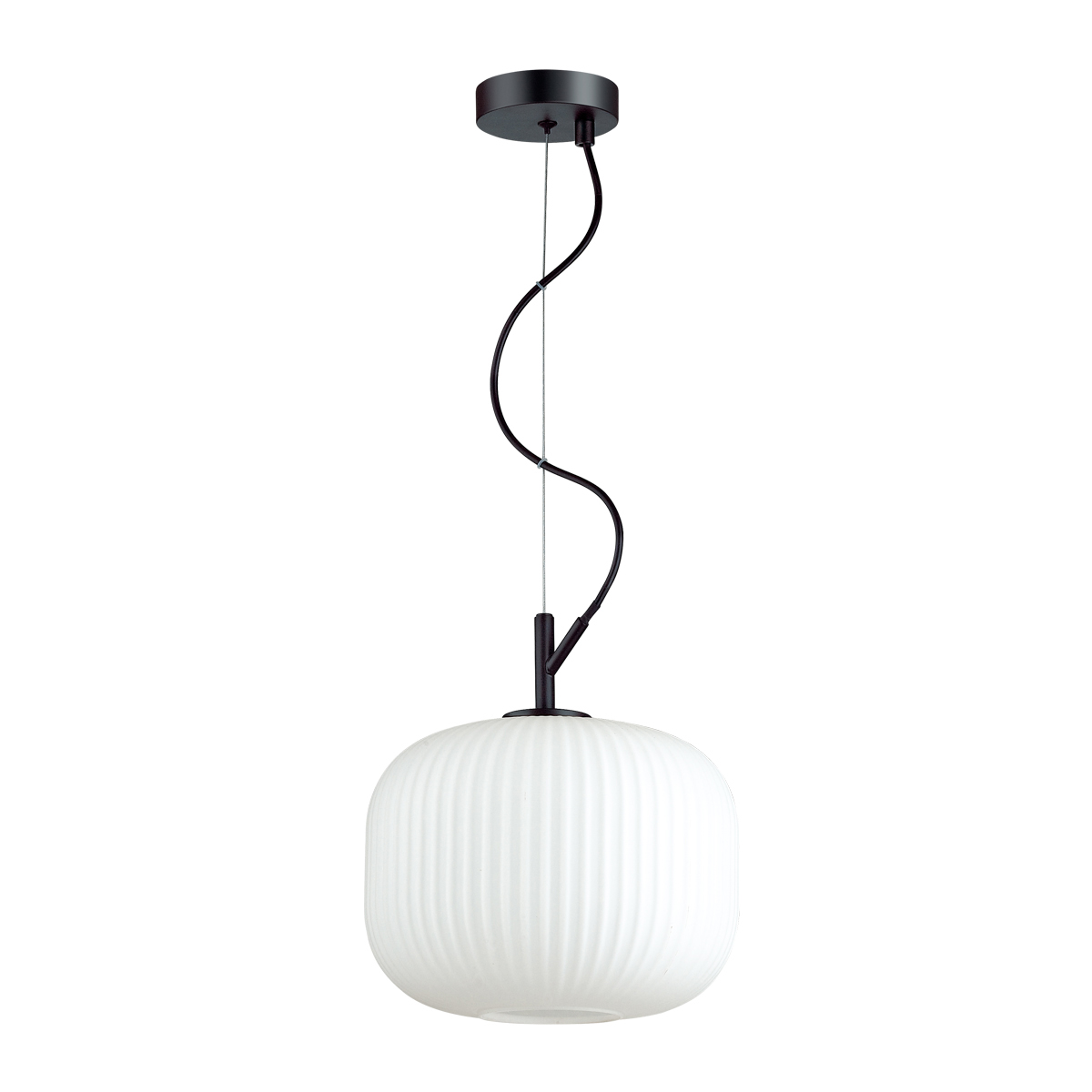 Подвесной светильник Odeon Light Pendant Roofi 4753/1 фото