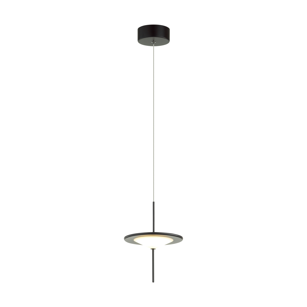 Подвесной светильник ODEON LIGHT 5012/10L фото