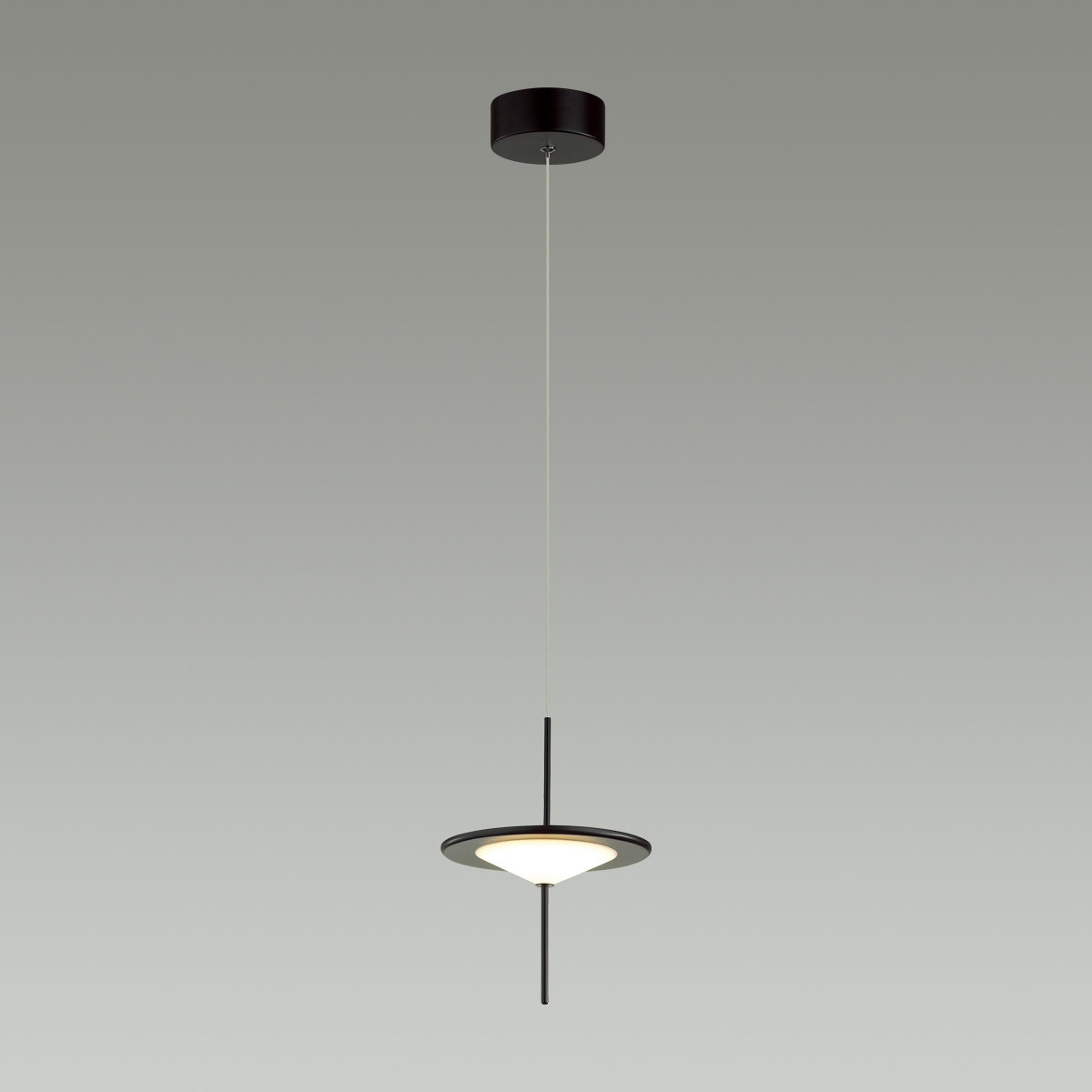 Подвесной светильник ODEON LIGHT 5012/10L фото