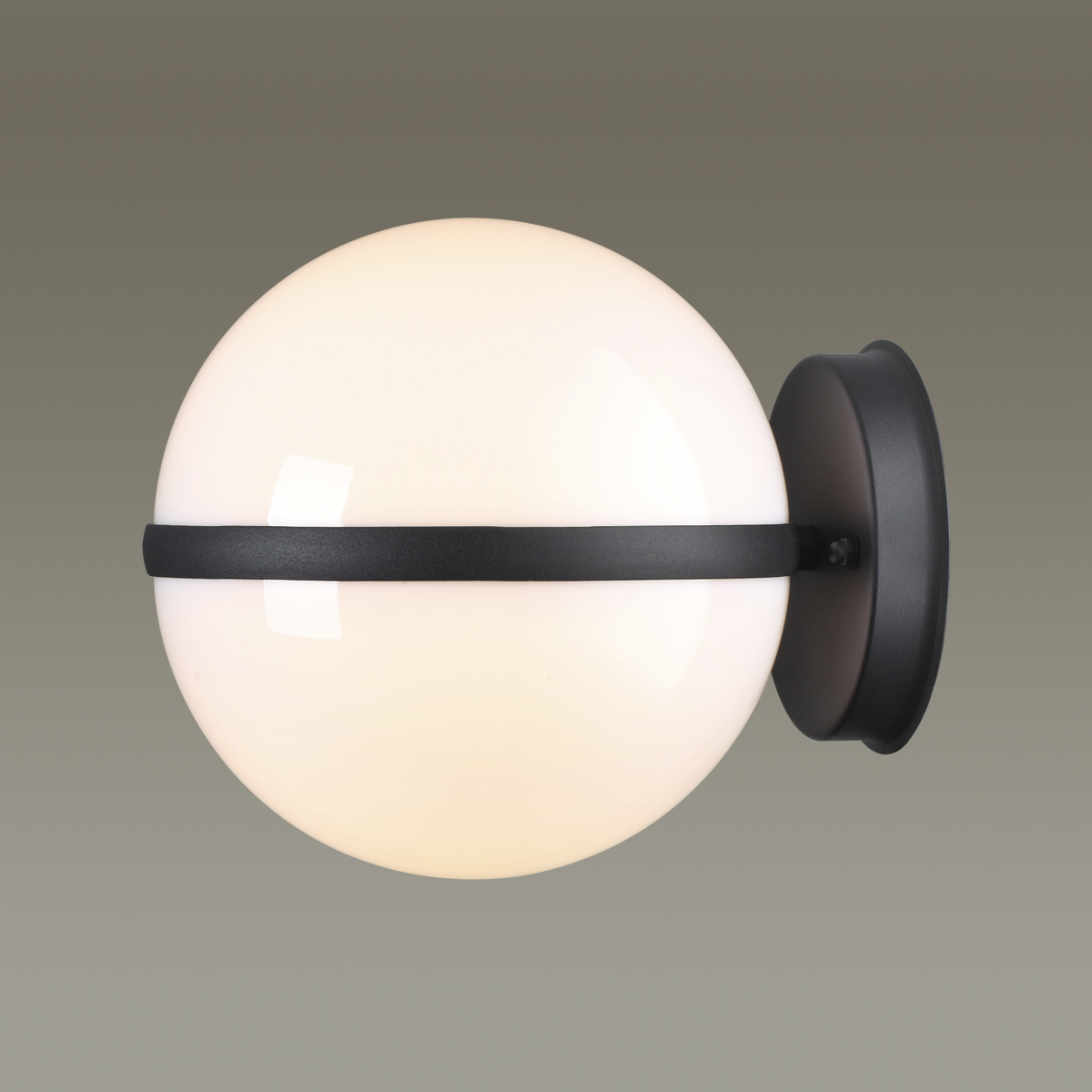 Уличный настенный светильник Odeon Light Nature Lomeo 4832/1W фото