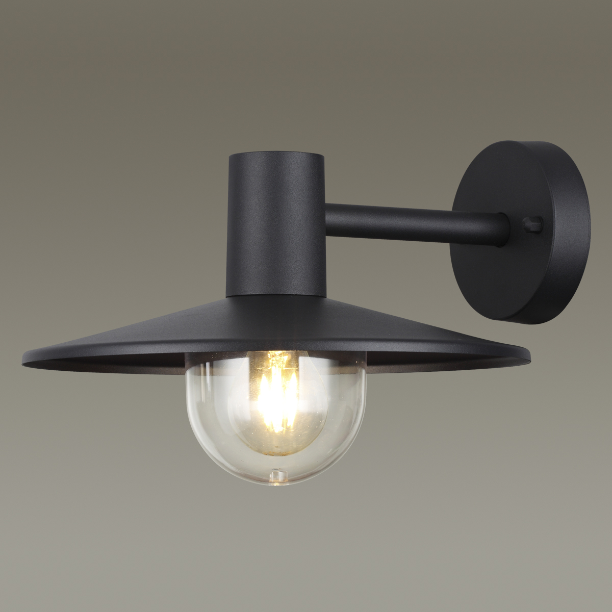 Уличный настенный светильник Odeon Light Nature Furcadia 4833/1W фото