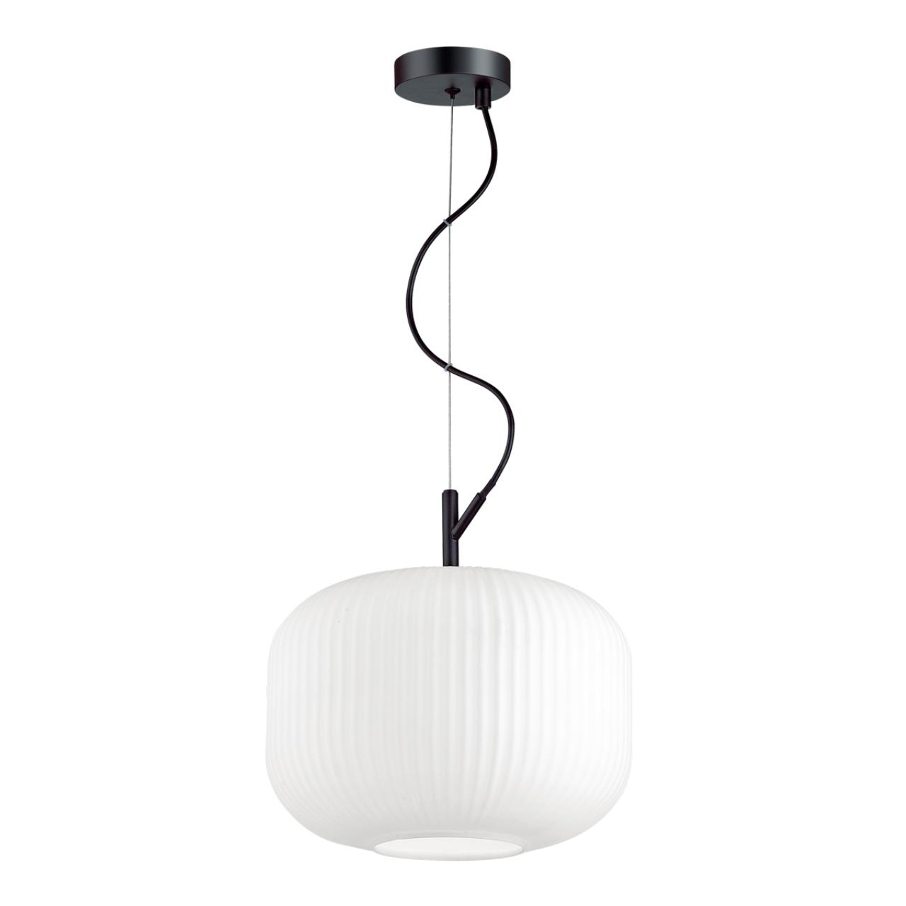 Подвесной светильник Odeon Light Pendant Roofi 4754/1 фото