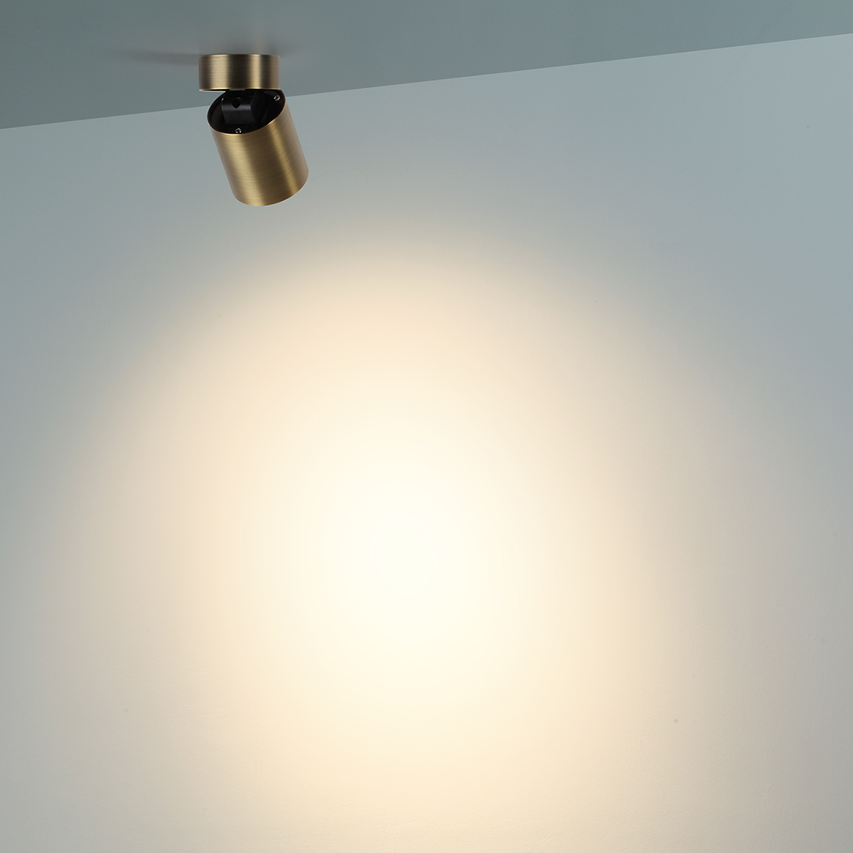 Потолочный светильник ODEON LIGHT 7131/7CL фото