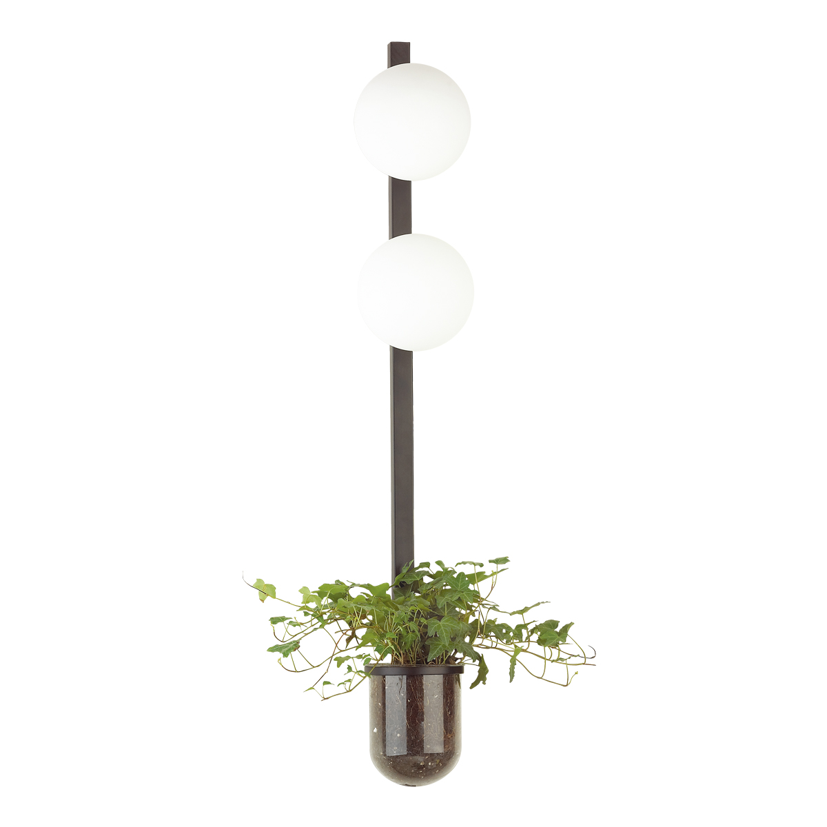 Настенный светильник Odeon Light Walli Flower 4681/2WA фото