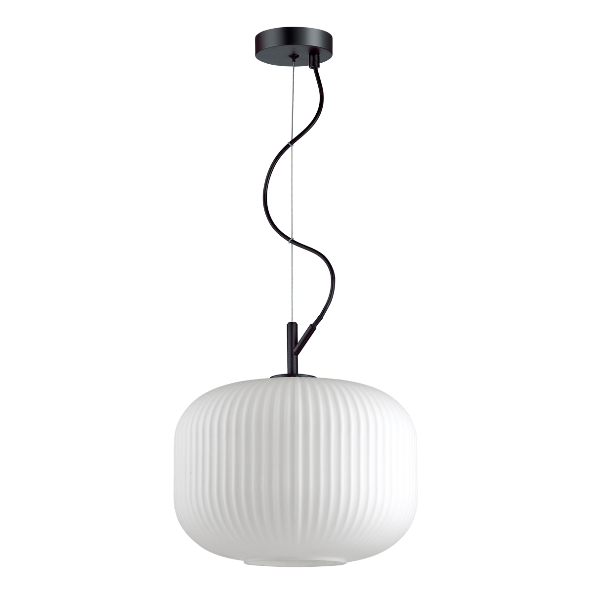 Подвесной светильник Odeon Light Pendant Roofi 4754/1 фото
