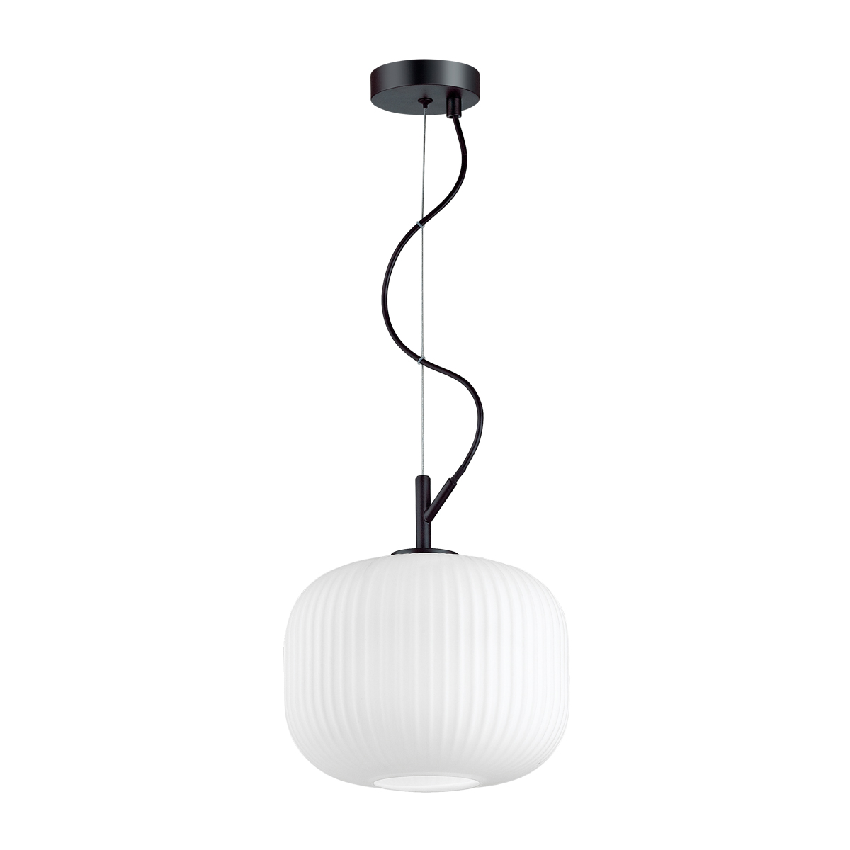 Подвесной светильник Odeon Light Pendant Roofi 4753/1 фото