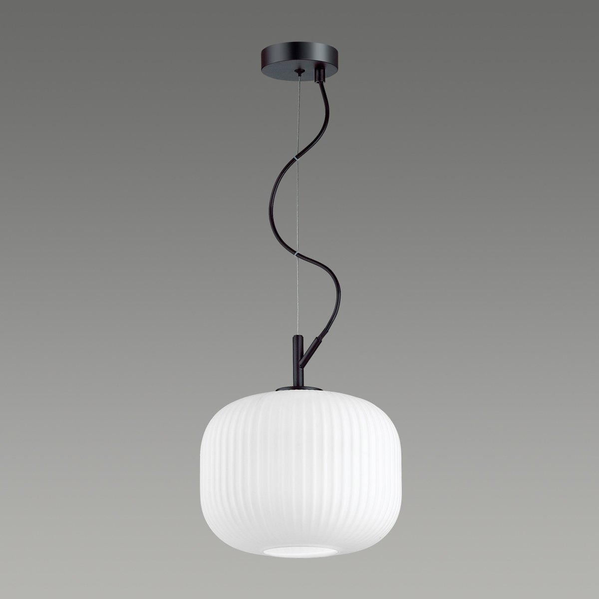 Подвесной светильник Odeon Light Pendant Roofi 4753/1 фото