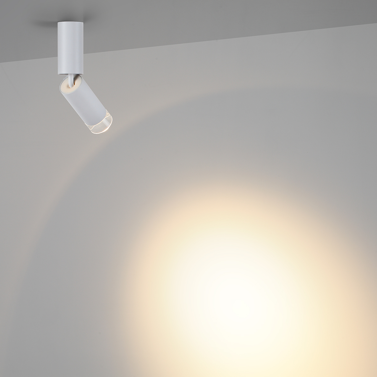 Потолочный светильник ODEON LIGHT 7136/8CL фото