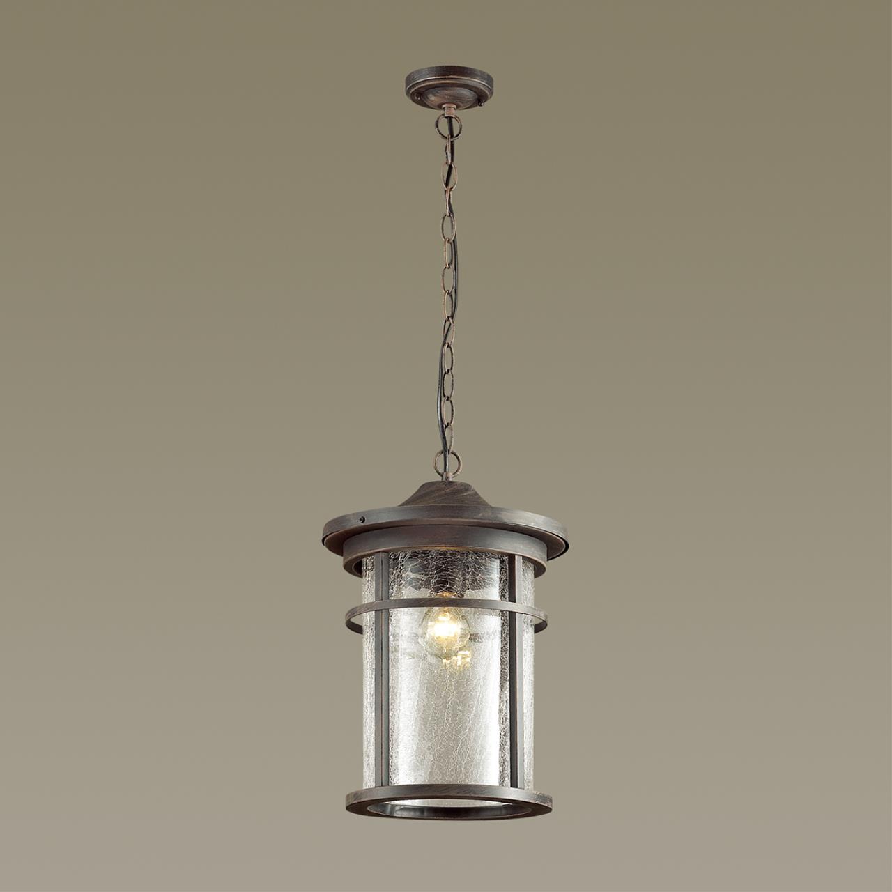 Уличный подвесной светильник Odeon Light Nature Virta 4044/1 фото