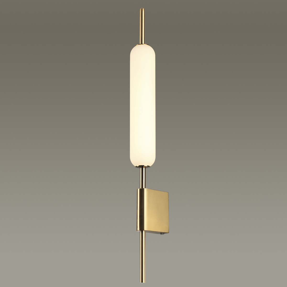 Настенный светильник Odeon Light Pendant Reeds 4794/12WL фото