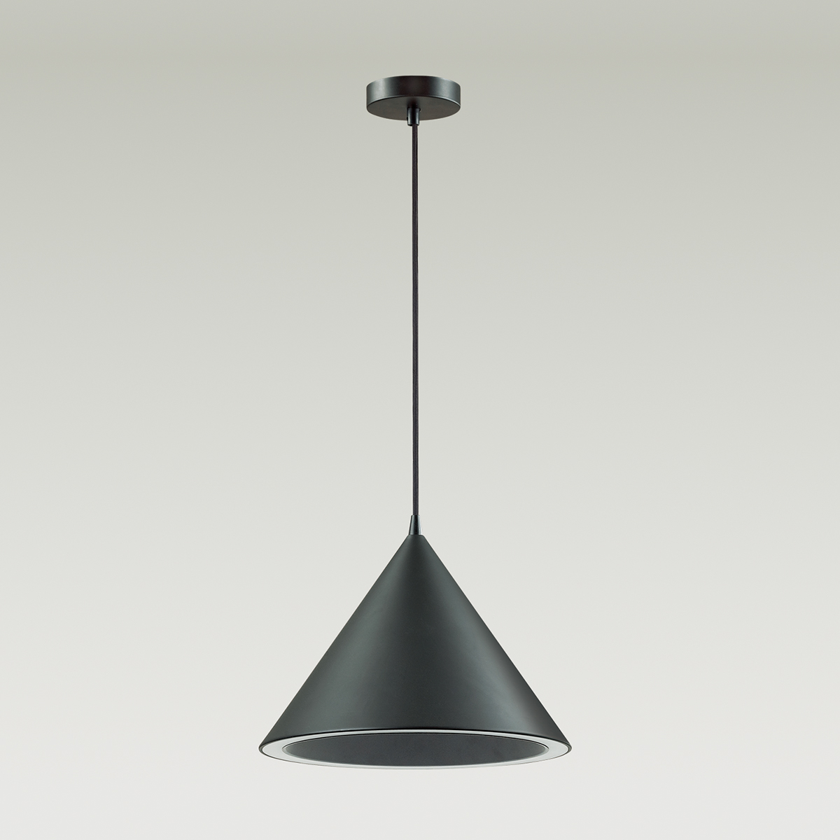 Подвесной светодиодный светильник Lumion Ledio Lenny 3724/24L фото