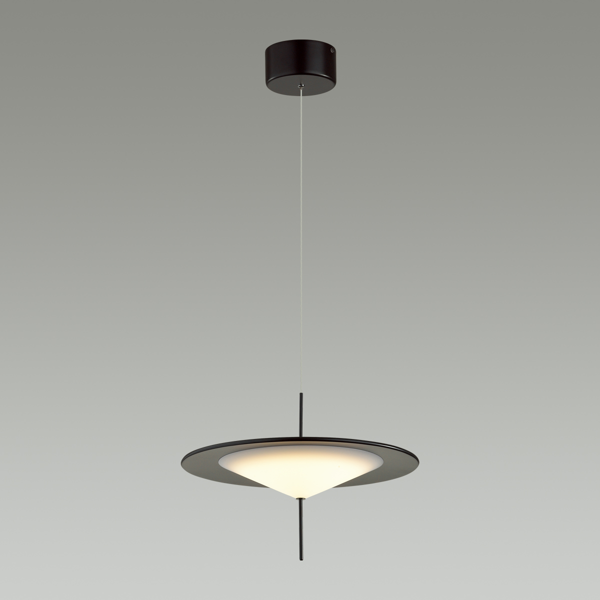 Подвесной светильник ODEON LIGHT 5012/16L фото