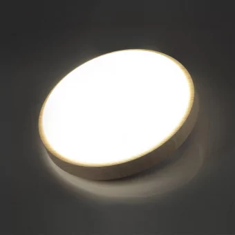 Настенно-потолочный светильник SONEX 7607/DL фото