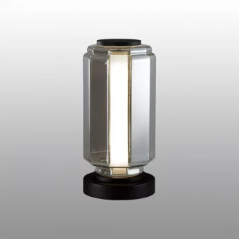Настольная лампа ODEON LIGHT 5408/10TL фото