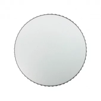 Настенно-потолочный светодиодный светильник Sonex Pale Dina 2077/DL фото