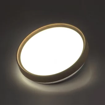 Настенно-потолочный светильник SONEX 7603/DL фото