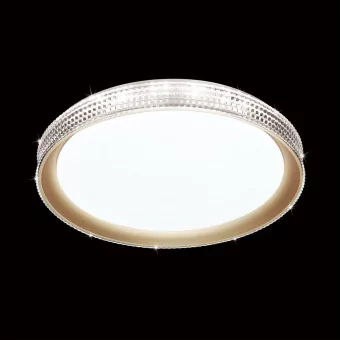Настенно-потолочный светодиодный светильник Sonex Pale Shiny 3054/DL фото