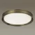 Потолочный светодиодный светильник Odeon Light Lunor 4948/60CL фото