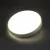 Настенно-потолочный светильник SONEX 7628/DL фото