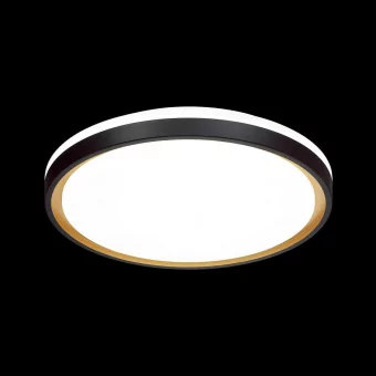 Настенно-потолочный светодиодный светильник Sonex Pale Klapa 3045/DL фото