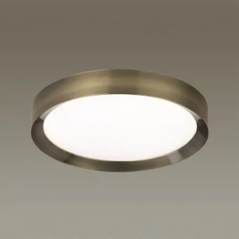 Потолочный светодиодный светильник Odeon Light Walli Lunor 4948/45CL фото