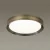 Потолочный светодиодный светильник Odeon Light Walli Lunor 4948/45CL фото