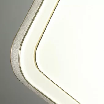 Настенно-потолочный светильник SONEX 7613/DL фото