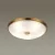 Потолочный светильник Odeon Light Walli Pelow 4956/5 фото
