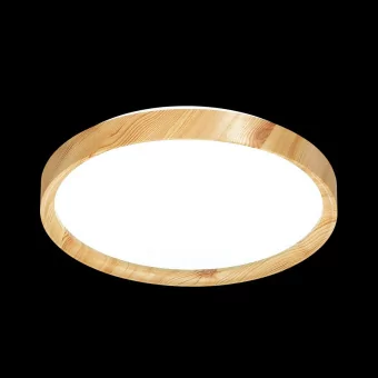 Настенно-потолочный светильник Sonex Tan Woodi 3019/EL фото