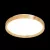 Настенно-потолочный светильник Sonex Tan Woodi 3019/DL фото