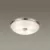 Потолочный светильник Odeon Light Walli Pelow 4957/4 фото