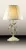 Настольная лампа Odeon Light Tender 2796/1T фото